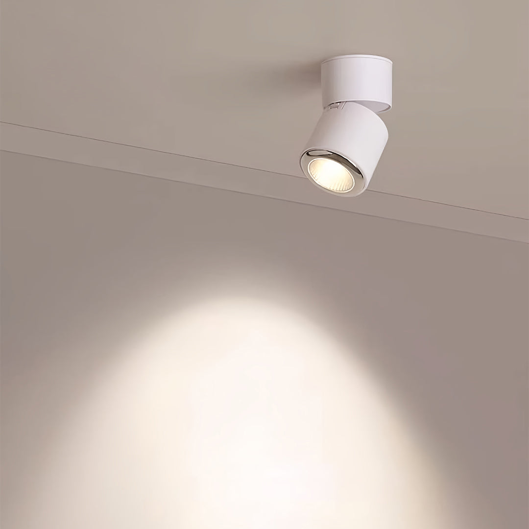 WINDSOR 360° ADJUSTABLE LED SPOTLIGHT WITH ANTI-GLARE BAFFLE