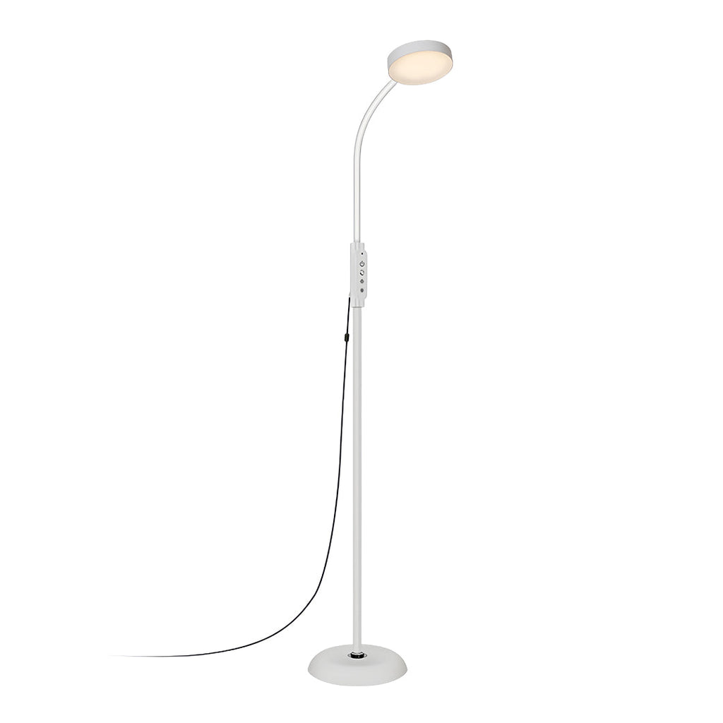 WHITCOMB LED LITERARY LANTERN, MINIMALIST EYE-CARING STANDING LIGHT