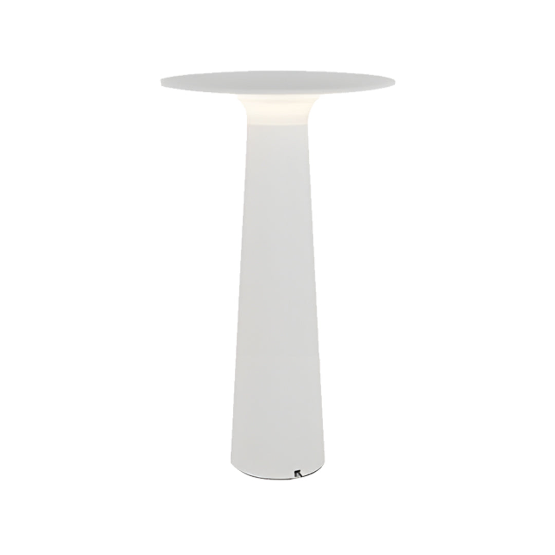 WINDSOR GARDEN RADIANCE OUTDOOR LAMP