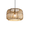 KESTREL WOVEN CANOPY CEILING LUMINAIRE